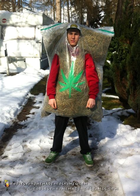 The Ultimate Bag of Weed Costume DIY Guide